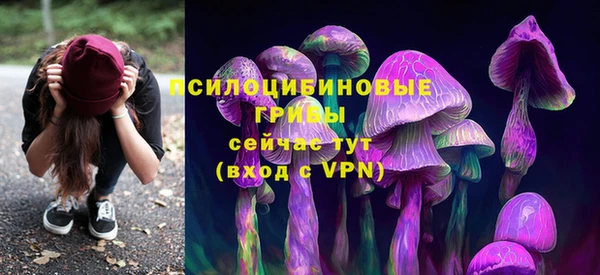 круглые Арсеньев