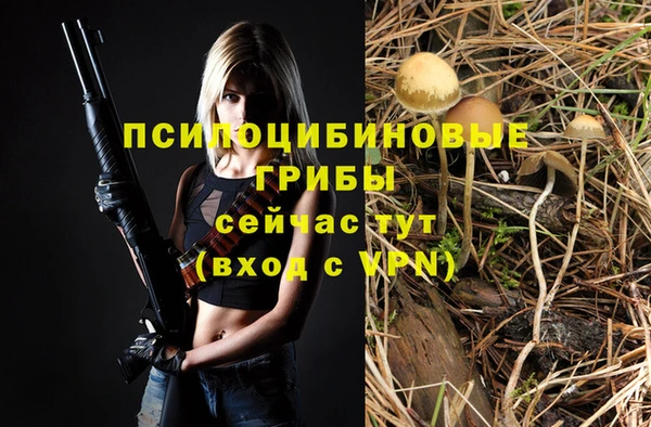 круглые Арсеньев