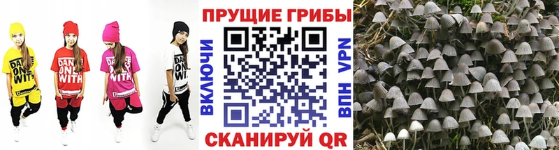 Галлюциногенные грибы Magic Shrooms  Рошаль 